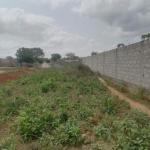 Terrain 