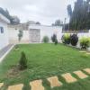 Jardin dans la cour 