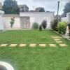 Jardin dans la cour de la maison 