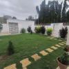 Jardin dans la cour 
