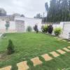 Jardin dans la cour 